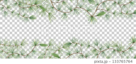 Green pine branches. European Larch or Larix tree (Larix decidua). Beautiful horizontal border with nature theme. Watercolor illustration. Copy space for text. Botanical elements for festive cards Green pine branches. European Larch or Larix tree (Larix decidua). Beautiful horizontal border with nature theme. Watercolor illustration. Copy space for text. Botanical elements for festive cards 133765764