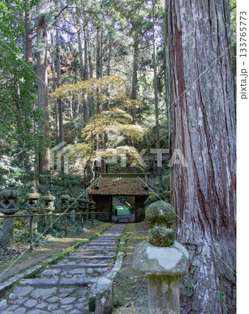 谷水薬師堂から山門への階段と苔むした石灯籠 133765773