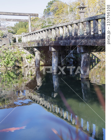 人吉護国神社の御館御門橋に鯉の泳ぐ風景 133766108