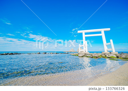 糸島の桜井二見ヶ浦の夫婦岩 133766326