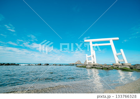 糸島の桜井二見ヶ浦の夫婦岩 133766328