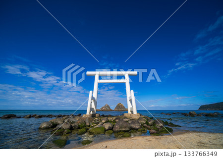 糸島の桜井二見ヶ浦の夫婦岩 133766349