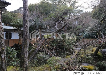 高級旅館の中庭から見る渡り廊下 修善寺温泉 菊屋旅館 高級旅館の中庭から見る渡り廊下 修善寺温泉 菊屋旅館 133766668
