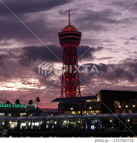 夕暮れの博多ポートタワーと紫の空（港の夜景） 133766718