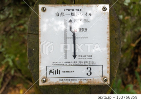 京都一周トレイルとその周辺の景色 133766859