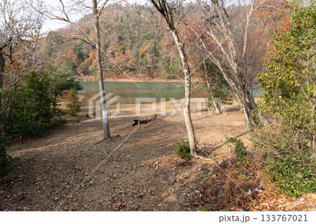 京都一周トレイルとその周辺の景色 133767021