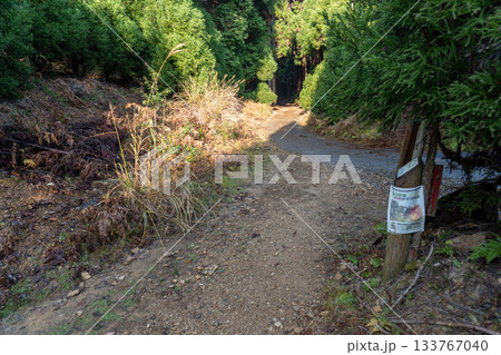 京都一周トレイルとその周辺の景色 133767040