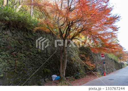 京都一周トレイルとその周辺の景色 京都一周トレイルとその周辺の景色 133767244