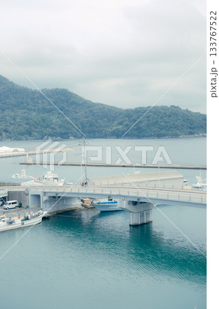 港町と山並みが広がる穏やかな風景 133767522