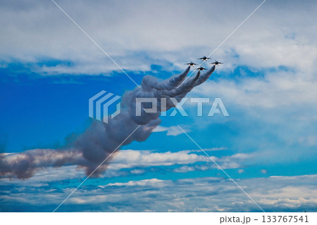 2025入間航空祭　ブルーインパルス 133767541