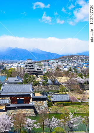 春　松本城 133767720