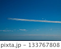 大洗海上花火大会2025　ブルーインパルス展示飛行 133767808