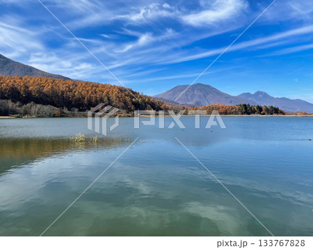 遠くに黒姫山妙高山を望む秋の湖畔 133767828