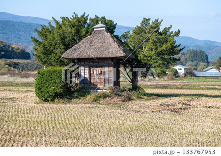 秋の田んぼの中の祠 遠野市 秋の田んぼの中の祠 遠野市 133767953