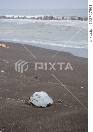 砂浜に残された流氷のかけら 133767961