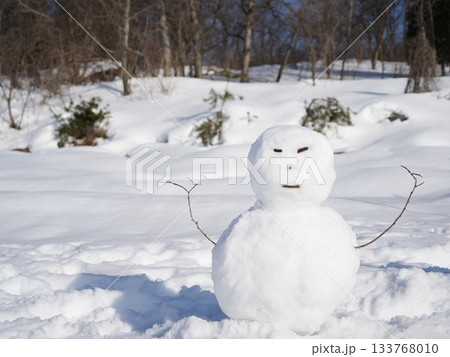 雪だるま、冬のイメージ素材 133768010