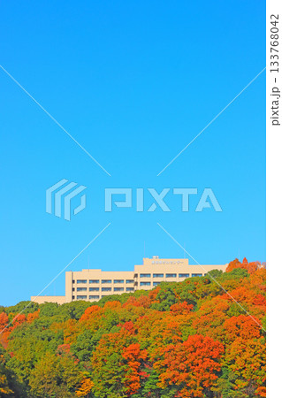 愛知県名古屋市、愛知県がんセンターの風景 愛知県名古屋市、愛知県がんセンターの風景 133768042
