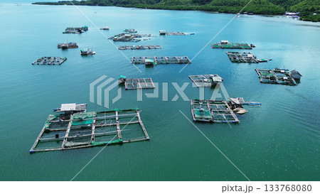 Fish farm with cages for fish and shrimp 133768080