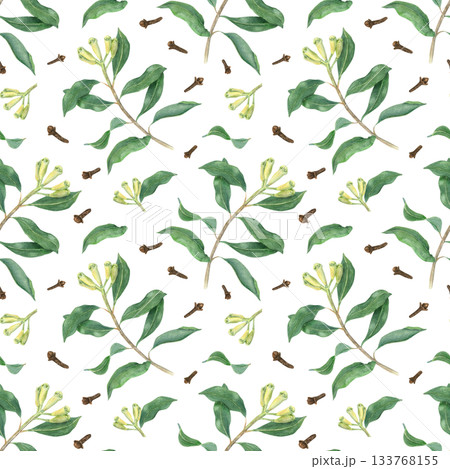 Dried brown cloves and blooming green plant watercolor seamless pattern on isolated background. Aromatic clove branch with fresh unripe buds illustration. Spice ornate for mulled wine decor, textile. Dried brown cloves and blooming green plant watercolor seamless pattern on isolated background. Aromatic clove branch with fresh unripe buds illustration. Spice ornate for mulled wine decor, textile. 133768155