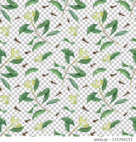 Dried brown cloves and blooming green plant watercolor seamless pattern on isolated background. Aromatic clove branch with fresh unripe buds illustration. Spice ornate for mulled wine decor, textile. Dried brown cloves and blooming green plant watercolor seamless pattern on isolated background. Aromatic clove branch with fresh unripe buds illustration. Spice ornate for mulled wine decor, textile. 133768155