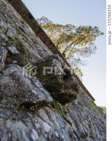 人吉城跡の秋の風景 人吉城跡の秋の風景 133768350