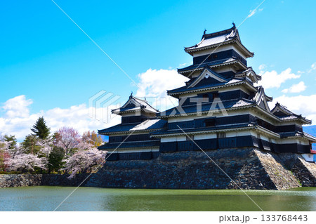 春　松本城 133768443