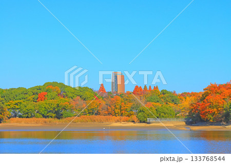 愛知県名古屋市、平和公園アクアタワーの風景 133768544