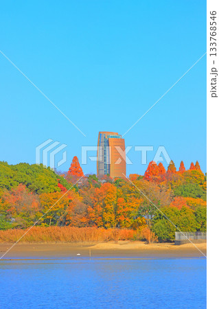 愛知県名古屋市、平和公園アクアタワーの風景 愛知県名古屋市、平和公園アクアタワーの風景 133768546