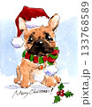 サンタ帽をかぶったフレンチブルドッグのクリスマス水彩イラスト 133768589