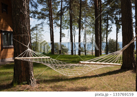 Tranquil forest hammock by lakeside in serene woodland setting. National Hammock Day 133769159