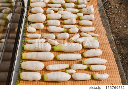 ゴザに干すたくあん用の地大根 133769881