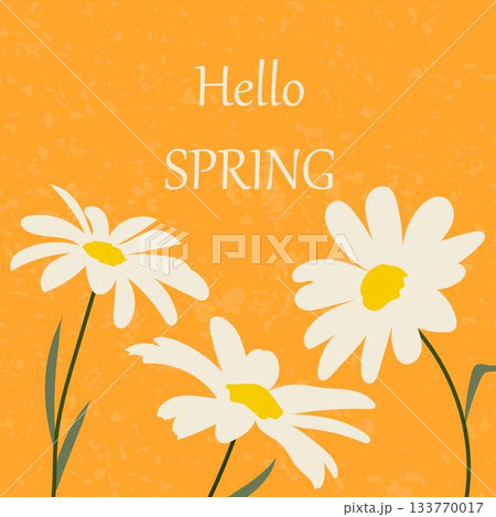 A spring card with three cute daisies on an orange background. Vector illustration 133770017