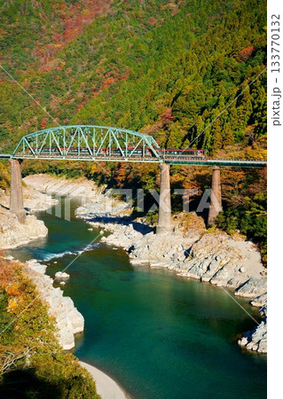 紅葉の土讃線を駆ける特急南風 133770132