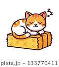 Cute Cat Sleeping on Hay Bale in Kawaii Style Vector Illustration 133770411