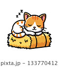 Cute Cat Sleeping on a Hay Bale in Kawaii Style Illustration 133770412