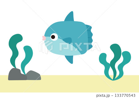 海の中のマンボウ 133770543