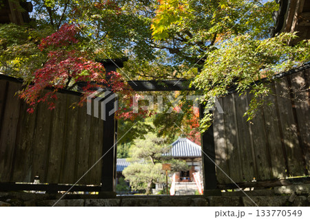 小倉山二尊院 黒門から望む境内と秋色1 小倉山二尊院 黒門から望む境内と秋色1 133770549