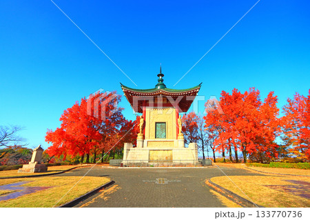 愛知県名古屋市、平和公園平和堂の風景 133770736