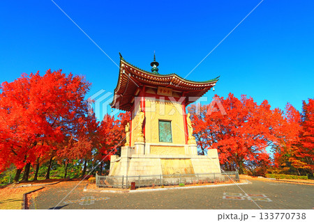 愛知県名古屋市、平和公園平和堂の風景 愛知県名古屋市、平和公園平和堂の風景 133770738