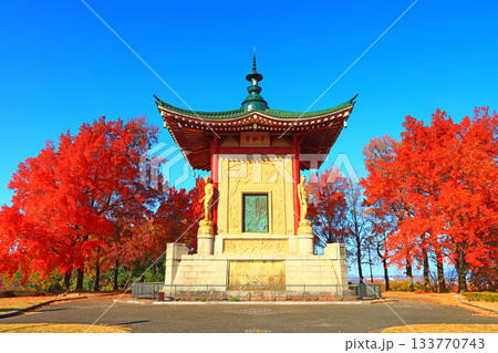 愛知県名古屋市、平和公園平和堂の風景 愛知県名古屋市、平和公園平和堂の風景 133770743