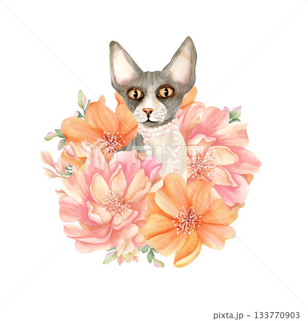 Sphynx cat with pearl necklace in delicate flowers. Sphinx head animal with pink, orange peony. Cute floral kitty. Spring watercolor illustration isolated from background. Character in fashion style 133770903