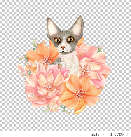 Sphynx cat with pearl necklace in delicate flowers. Sphinx head animal with pink, orange peony. Cute floral kitty. Spring watercolor illustration isolated from background. Character in fashion style 133770903