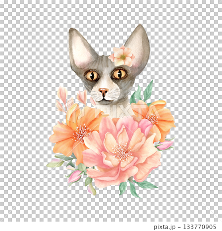 Sphynx cat head in flowers. Sphinx hairless animal with peony. Cute floral kitty. Spring watercolor illustration isolated from background. Hand drawn character for card, fashion, textile, stationery 133770905