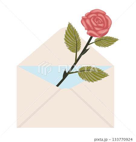 Bright pink rose. One blooming rose in a mailing envelope. 133770924