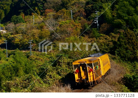 山里のカーブを行く黄色いトロッコ列車 133771128