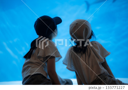 水族館の大きな水槽を見つめる子どもたち 133771227
