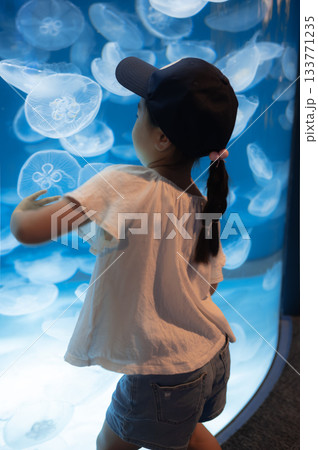 水族館のクラゲ水槽を見つめる子どもの後ろ姿 133771235