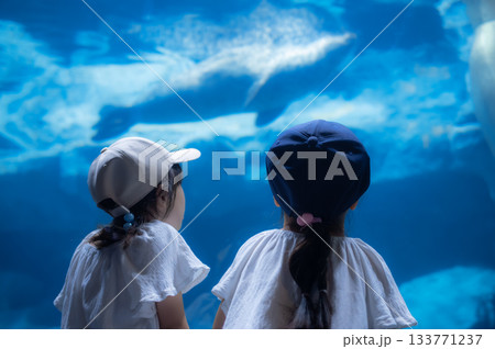 水族館の大きな水槽を見つめる子どもたち 133771237