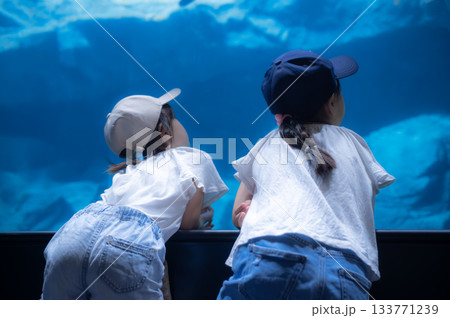 水族館の大きな水槽を見つめる子どもたち 133771239