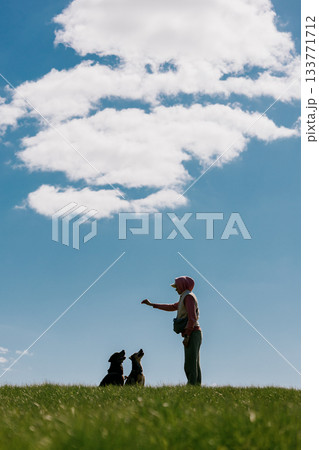 silhouette of woman playing with dogs in park against the background of blue sky. silhouette of woman playing with dogs in park against the background of blue sky. 133771712
